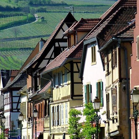 شقة La Sorciere In A Typical Alsatian House روفاك المظهر الخارجي الصورة
